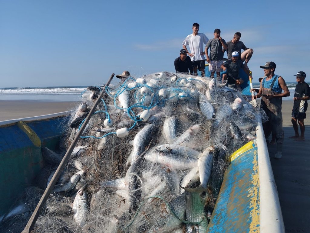 Pesca artesanal tradicional caiçara